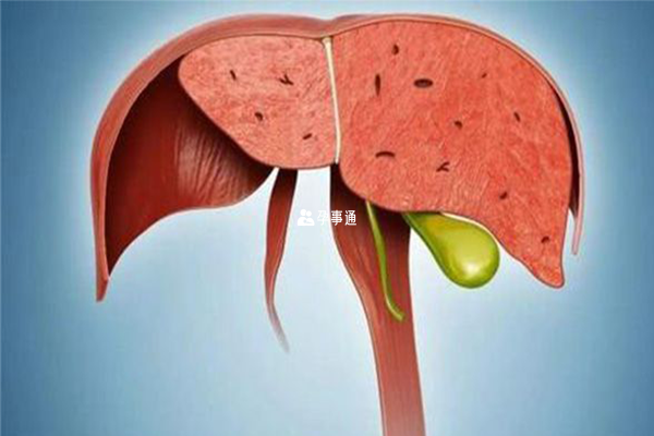 正常的肝脏各种指标一定是正常的