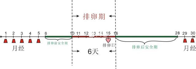 排卵期包含排卵日