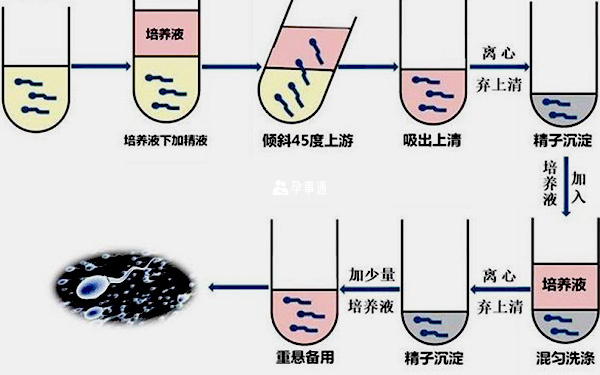 精子液化处理的步骤