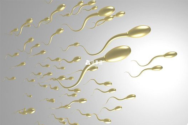 精子质量差胚胎停育几率大