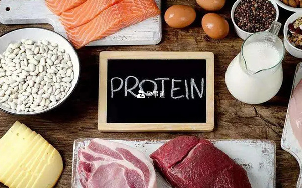 蛋白质食物