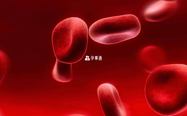 红细胞平均血红蛋白浓度