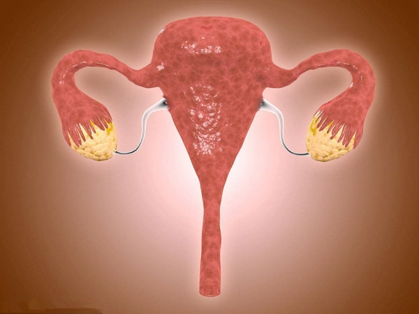 监测卵泡能了解卵巢的大小