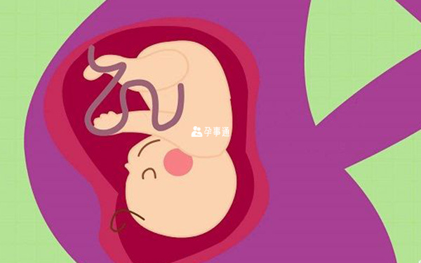 胚胎发育稳定