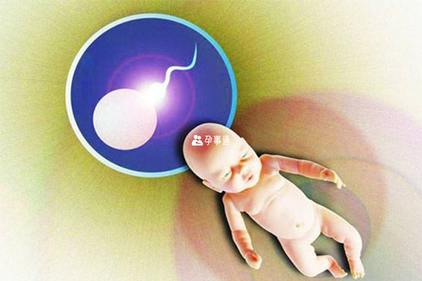 试管婴儿在取卵前后做宫腔镜检查都有好处