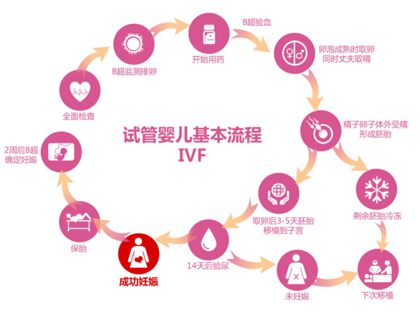 马来西亚试管流程