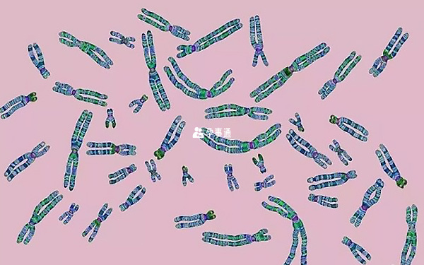 男方染色体异常存在遗传病