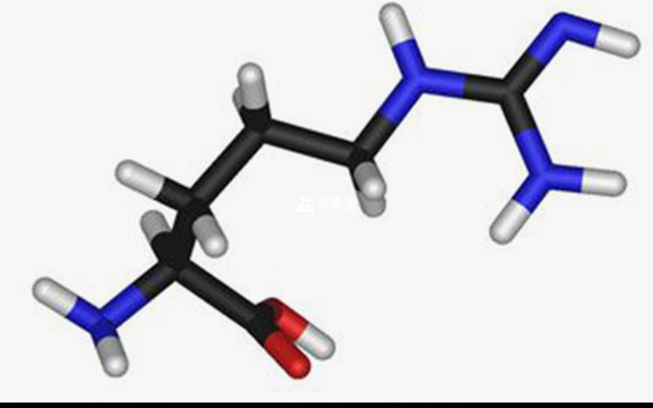 什么是精氨酸