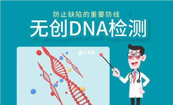 无创DNA是产前必做排畸项目
