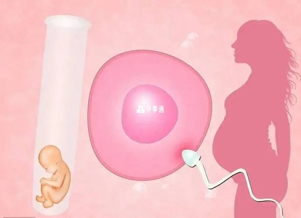 少精弱精患者可以通过试管婴儿助孕