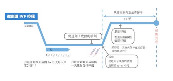 微刺激方案促排过程