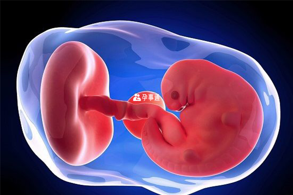 孕囊是初期宝宝的一种形态