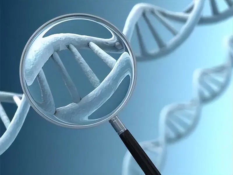 无创DNA检查