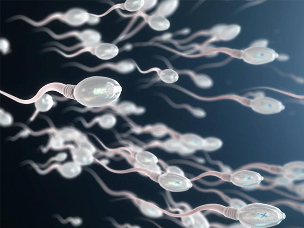 大庆油田乘风医院可以做精子染色体筛查