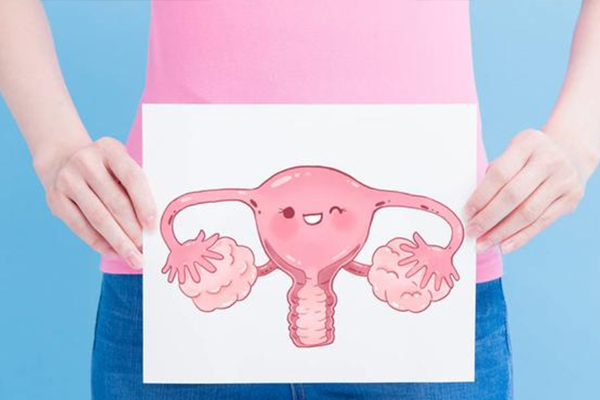 女性子宫内膜不能太薄或太厚