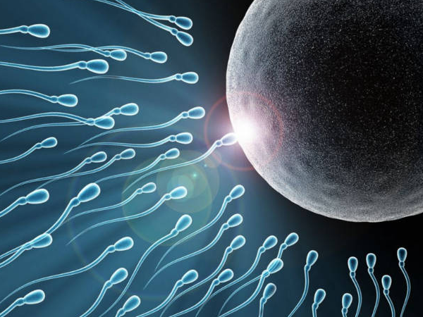 泰国试管婴儿可解决精子问题