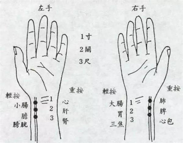 中医把脉示意图