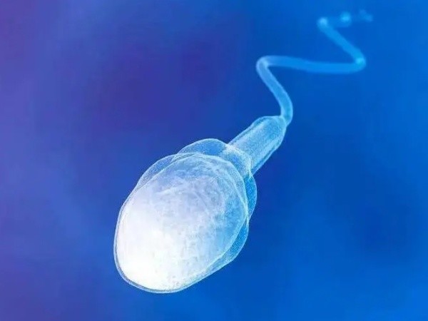 精子畸形100%可以做二代试管