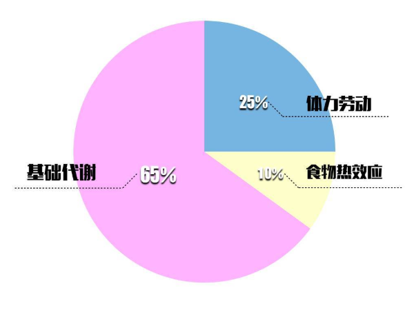 基础代谢率可以吃水果调节