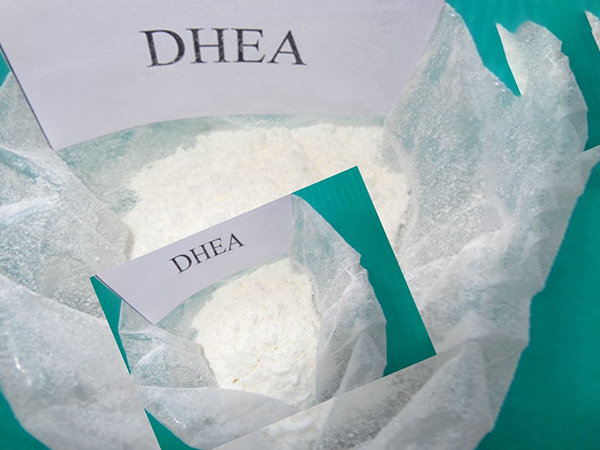 DHEA是脱氢表雄酮