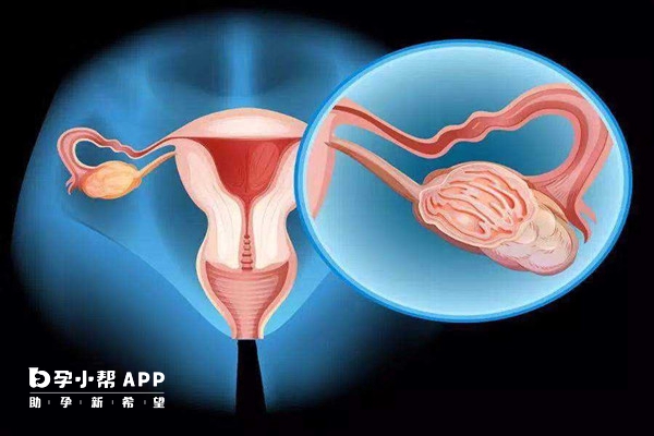 孕期抑制子宫收缩可适当服用硝苯地平片