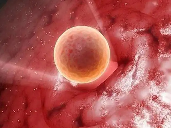 试管移植不着床可能是胚胎质量不好