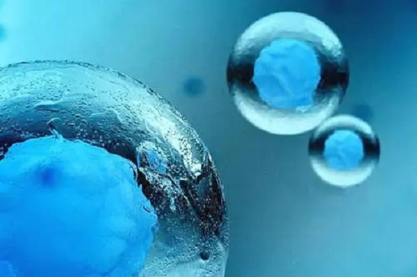 胚胎解冻后有继续发育的可能