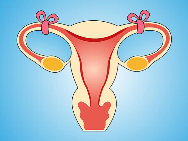 输卵管堵塞宫外孕的几率会增加