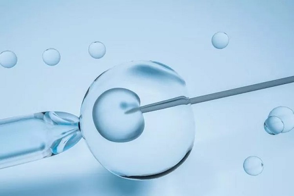 孕酮影响胚胎移植