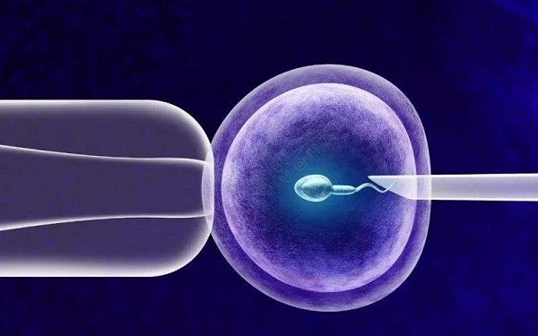 鲜胚移植一般是需要身体达到条件