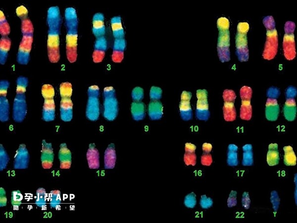 查绒毛染色体能排除胎停原因
