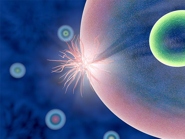 到174医院从将军祠站2口出