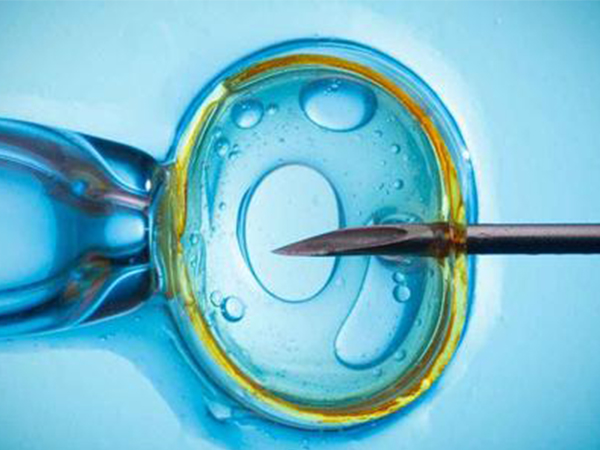 安宝医院试管费用偏贵