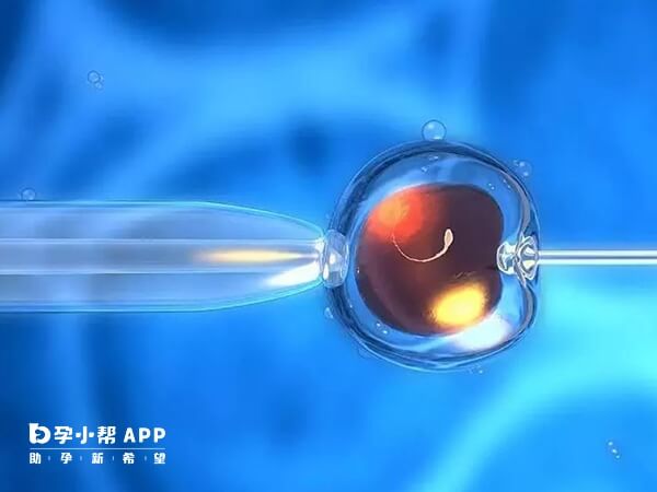 泉州只有2家做二代试管的医院