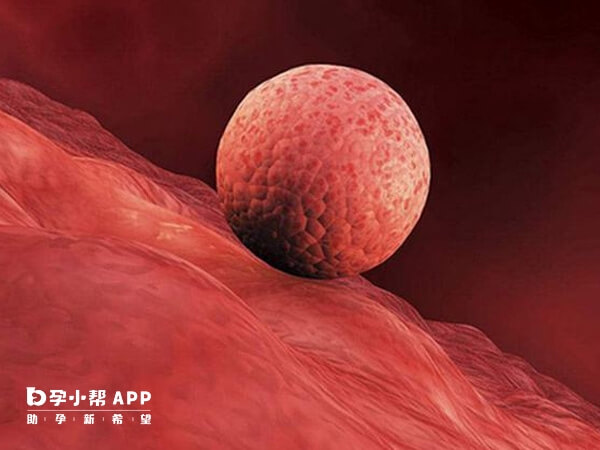 哈尔滨可以做一代、二代试管