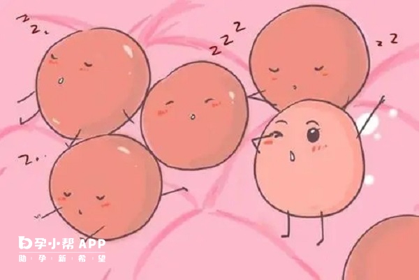 绒促性素有促进排卵的作用