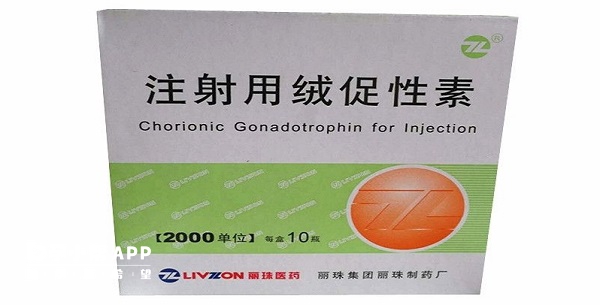 使用绒促性素后一周可完全排出体外