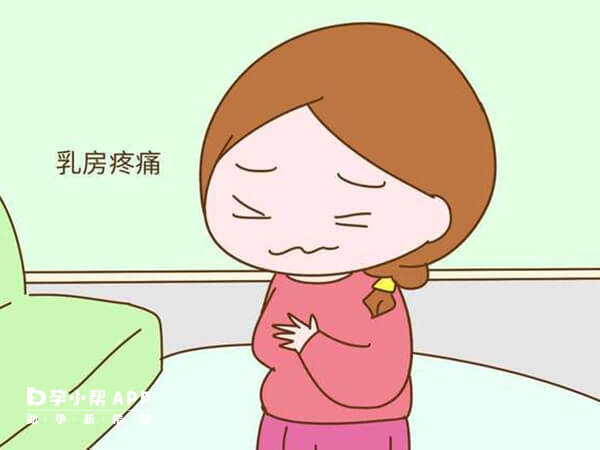 孕后激素变化会导致女性乳房有胀痛感