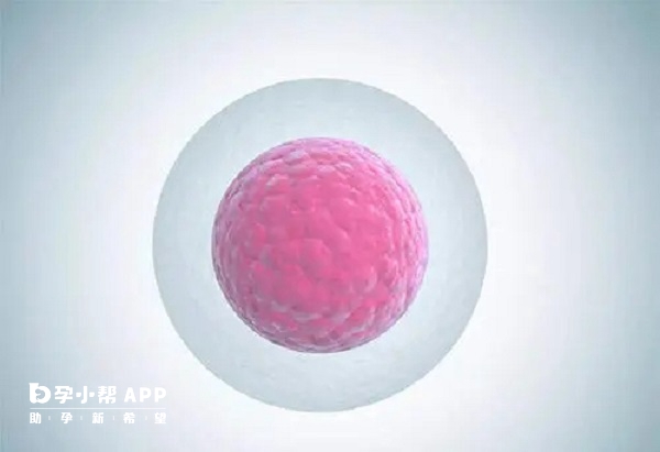 坤泰胶囊有促进卵泡发育的作用