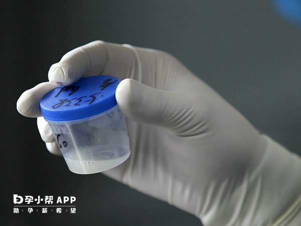 丹麦精子库质量