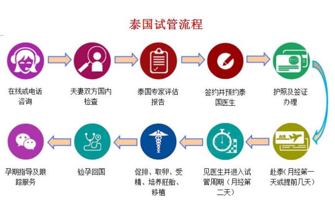 泰国试管婴儿流程表