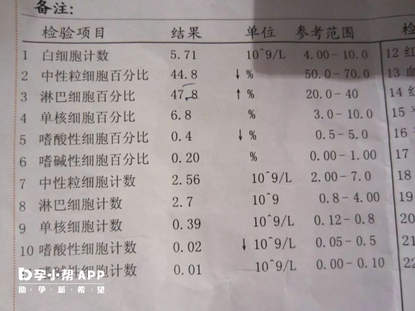 血常规报告单