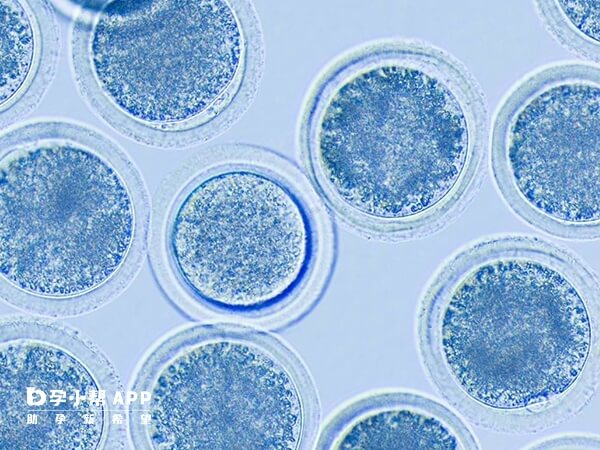 成都有6家医院可以供卵
