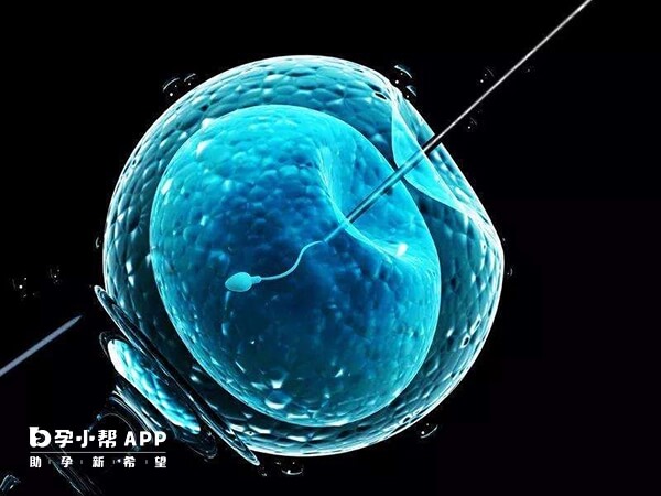 武汉同济和十堰太和医院开展试管技术不同