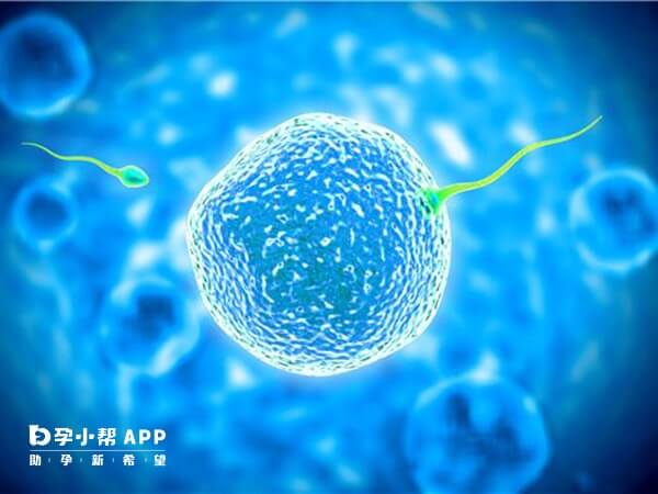 武汉同济医院已开展了试管婴儿技术