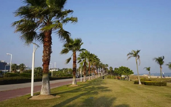 厦门妇幼保健院做试管有很多比较好的医生