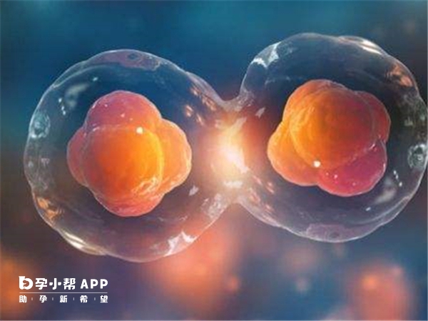 金华市人民医院试管不能选择性别