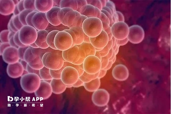 排卵障碍可以用拮抗剂方案