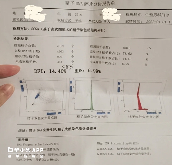 精子碎片检查报告