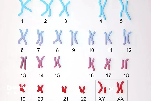 染色体数字越小异常情况最轻